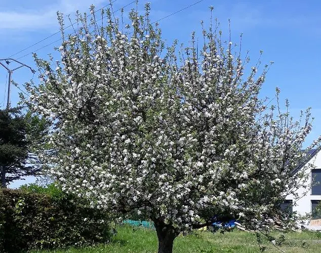 Franzen Villa Derenbach