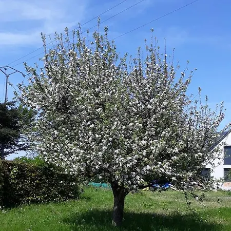 Franzen 别墅 德恩巴赫